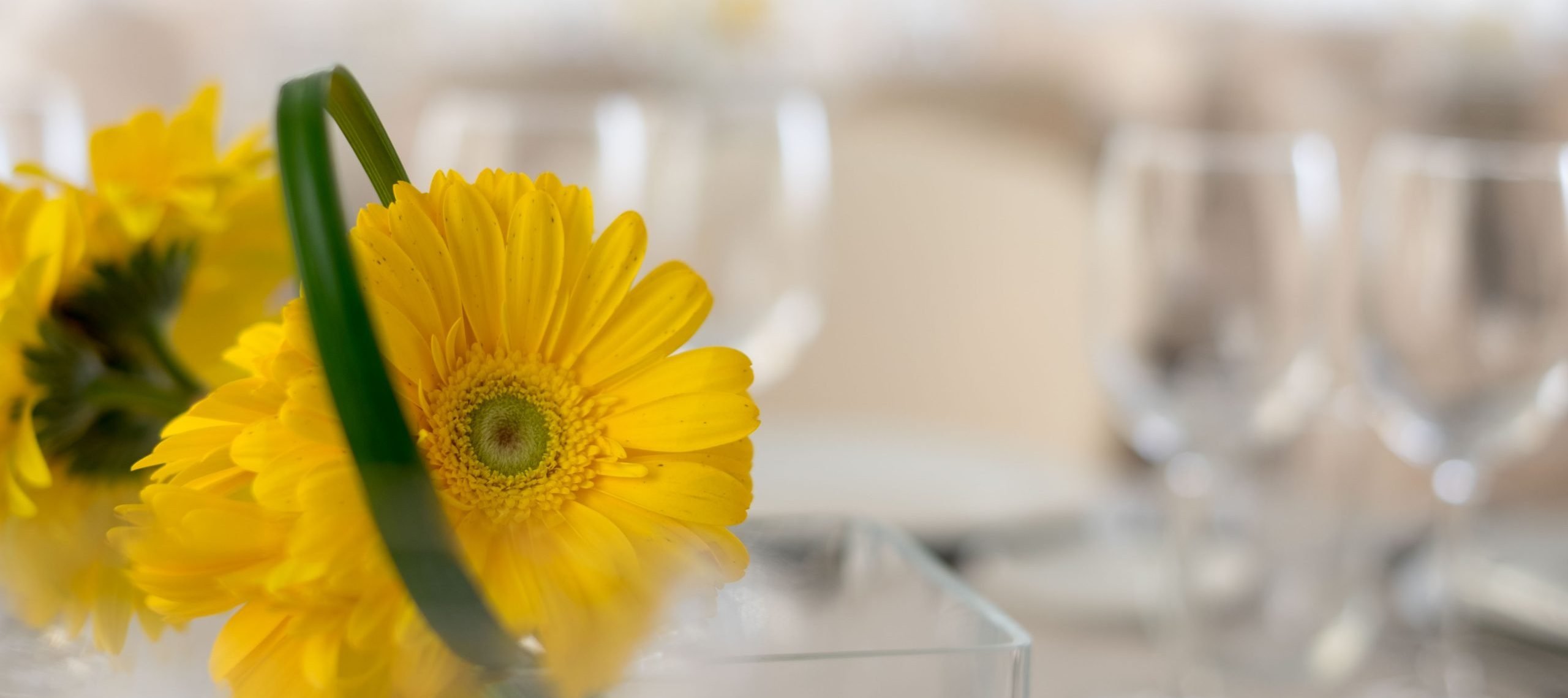 Detalle floral en un montaje de catering